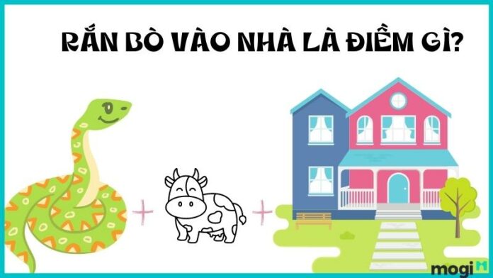 Rắn vào nhà dự báo điềm lành hay dữ? Giải mã hiện tượng rắn vào nhà
