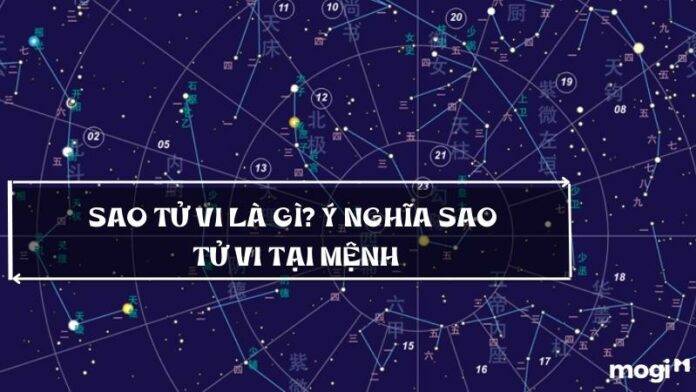 Sao Tử Vi là gì? Luận giải ý nghĩa sao Tử Vi tại các cung mệnh