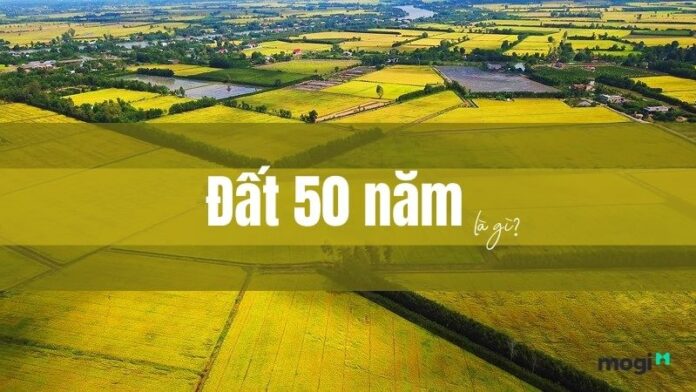 Đất 50 năm là gì? Có thể xây nhà trên đất 50 năm không?