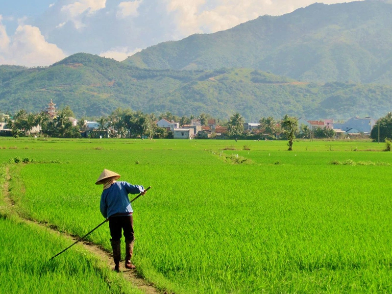Đất phần trăm là gì? Những lưu ý khi sử dụng đất phần trăm