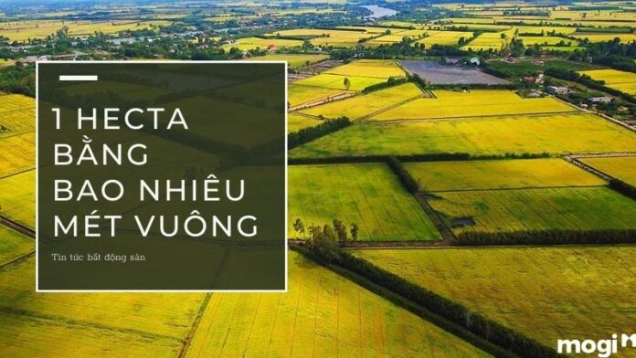 1 hecta bằng bao nhiêu m2? Hướng dẫn quy đổi hecta qua đơn vị khác » Thông tin Dự án - Cập nhật tin tức Bất Động Sản mới nhất