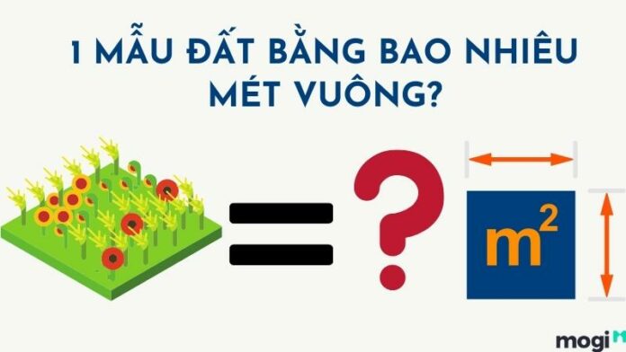 1 mẫu đất bao nhiêu m2? Cách quy đổi chuẩn xác nhất