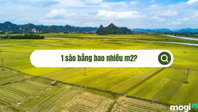 1 sào bằng bao nhiêu m2? Sự khác nhau ở Bắc, Nam và Trung Bộ