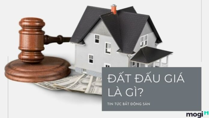 Đất đấu giá là gì? Những điều cần biết trước khi mua đất đấu giá