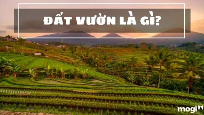 Đất vườn là gì? Cách thức chuyển đổi đất vườn sang đất thổ cư