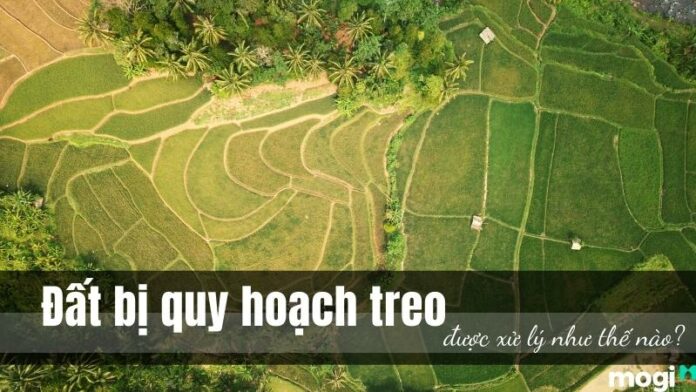 Quy hoạch treo là gì? Đất bị quy hoạch treo được xử lý như thế nào?