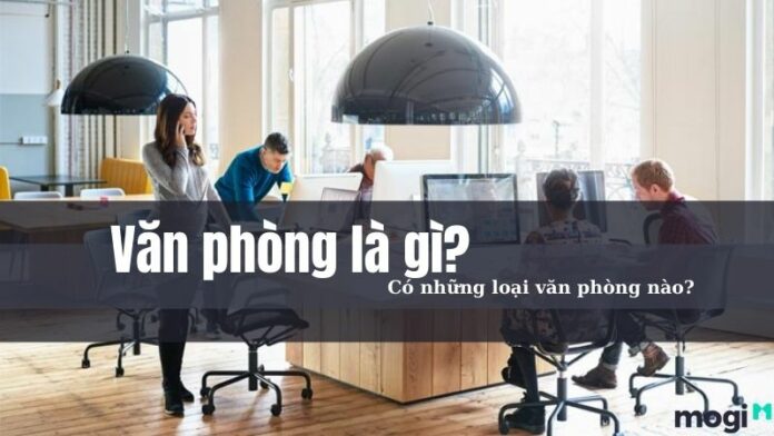 Văn phòng là gì? Khám phá một số loại hình văn phòng phổ biến hiện nay