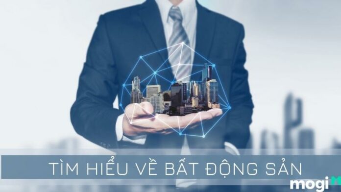 Bất động sản là gì? Đặc điểm và phân loại bất động sản