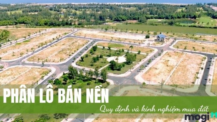 Tìm hiểu về quy định và kinh nghiệm mua đất phân lô bán nền?