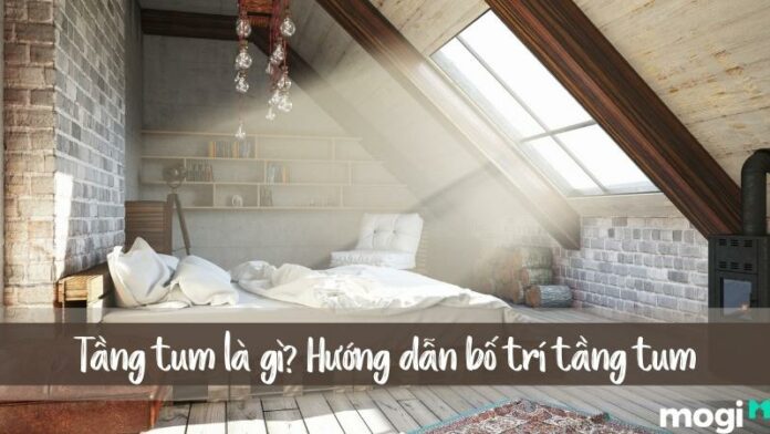 Tầng tum là gì? Hướng dẫn cách bố trí hợp với kích thước ngôi nhà
