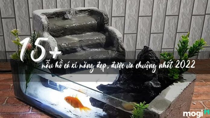 15+ mẫu hồ cá xi măng đẹp, tạo không gian thư giãn cực chill