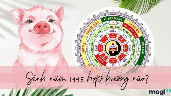 1995 hợp hướng nào? Chọn hướng nhà hợp phong thủy cho Ất Hợi