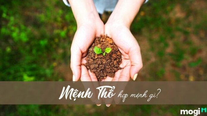 Mệnh Thổ hợp mệnh gì? Khắc mệnh gì trong công danh, tình duyên