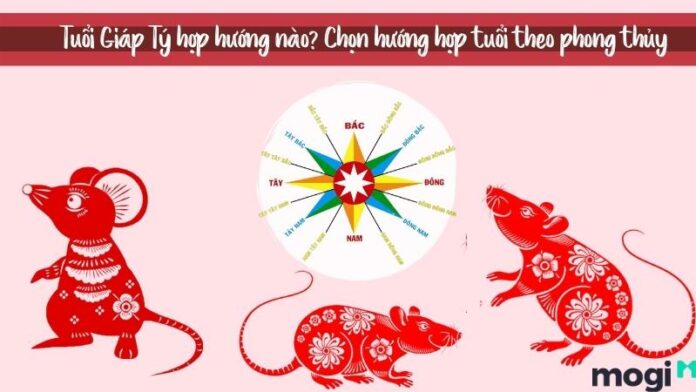 Tuổi Giáp Tý hợp hướng nào? Chọn hướng nhà phong thủy tuổi 1984