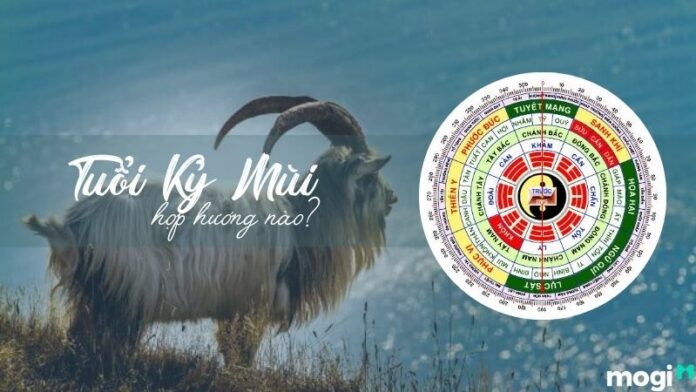 Tuổi Kỷ Mùi hợp hướng nào? Chọn hướng nhà hợp phong thủy