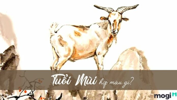 Tuổi mùi hợp màu gì? Thu hút vận may bằng màu sắc hợp tuổi