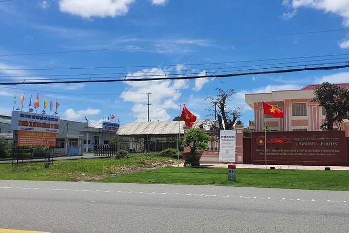 Cà Mau: Đề nghị thu hồi hơn 25.000 m2 đất đấu giá sai quy định