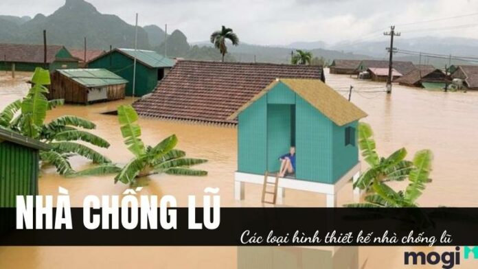 Nhà chống lũ là gì? Các loại hình của thiết kế nhà chống lũ