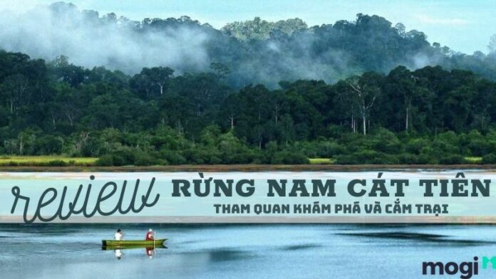 Rừng nam Cát Tiên – Địa điểm du lịch tuyệt vời để cắm trại và khám phá
