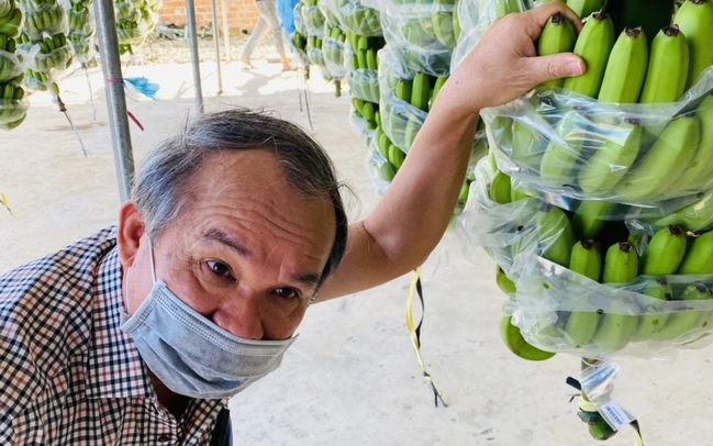 HAGL Agrico nhận lại quyền sử dụng gần 9.500 ha đất từ Hoàng Anh Gia Lai