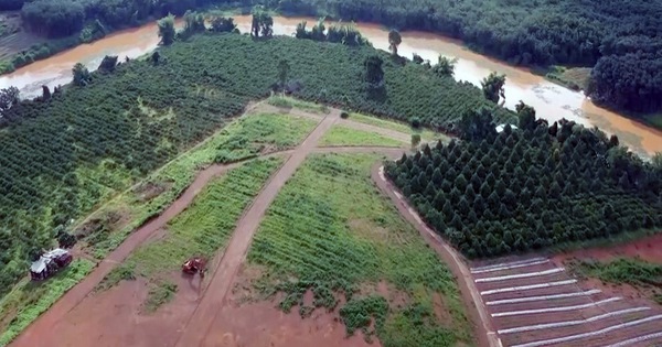 Bình Phước: Tự phân lô, quảng cáo bán đất nền trái phép, một cá nhân bị xử phạt