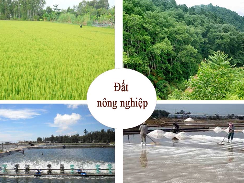 Có nên mua đất nông nghiệp ở quê để đầu tư hay không?