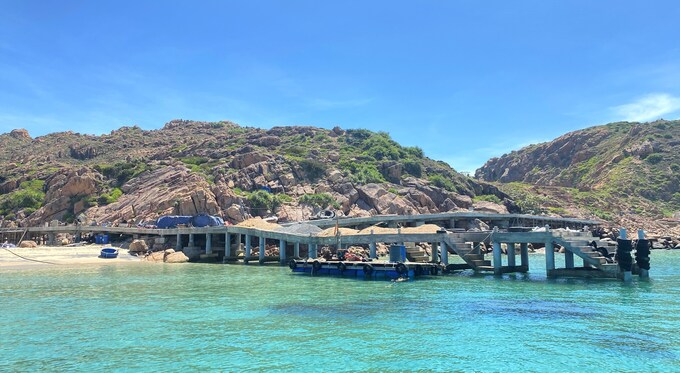 Điểm mặt hàng loạt dự án khủng sai phạm tại Bình Định