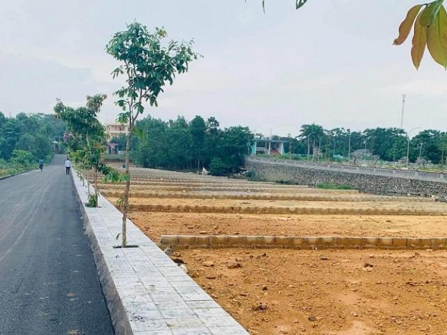 Hà Nội: Bất ngờ tạm dừng đấu giá 44 lô đất tại huyện Đông Anh