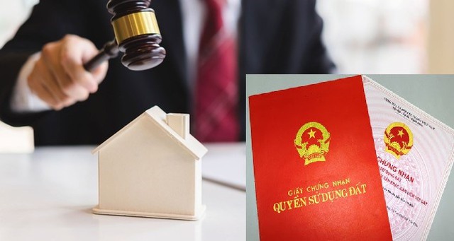 Những ai được tham gia đấu giá quyền sử dụng đất?