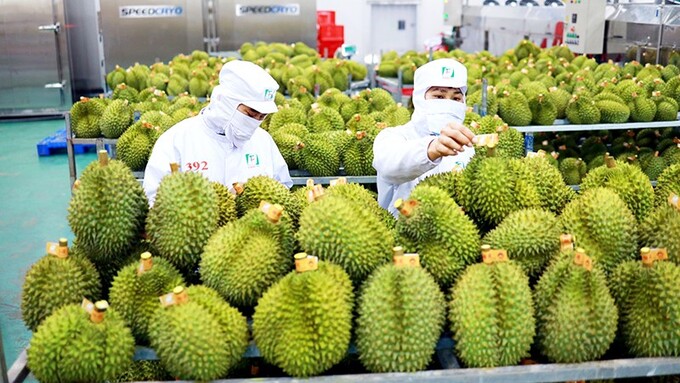 Xuất khẩu rau quả tăng gần 30%