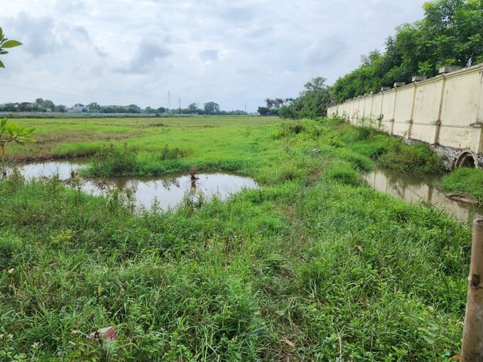 Dự án mở rộng Khu tâm linh hơn 200 tỷ đồng của Bầu Đệ giờ ra sao?