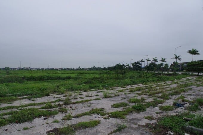 Thanh Hóa đấu giá hơn 10ha đất xây siêu thị