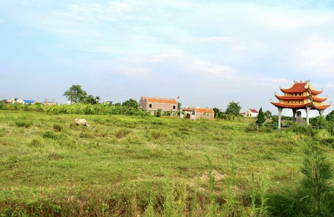 Hải Dương: Ôm đất không triển khai, Công ty Vinamit bị kiến nghị thu hồi đất
