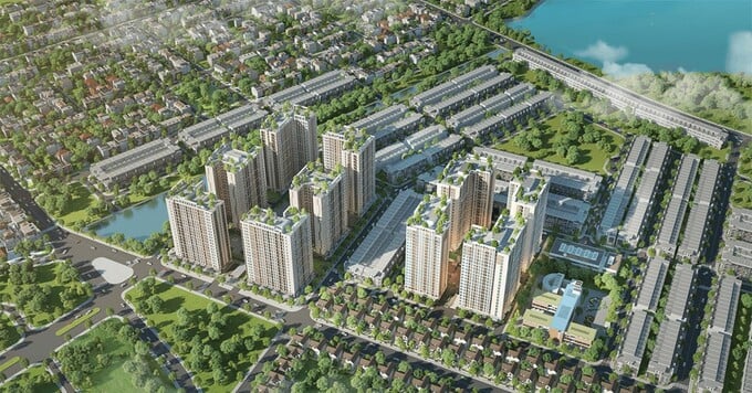 Bình Định: Duyệt phương án đấu giá đất xây dự án nhà ở hơn 3.000 tỷ đồng