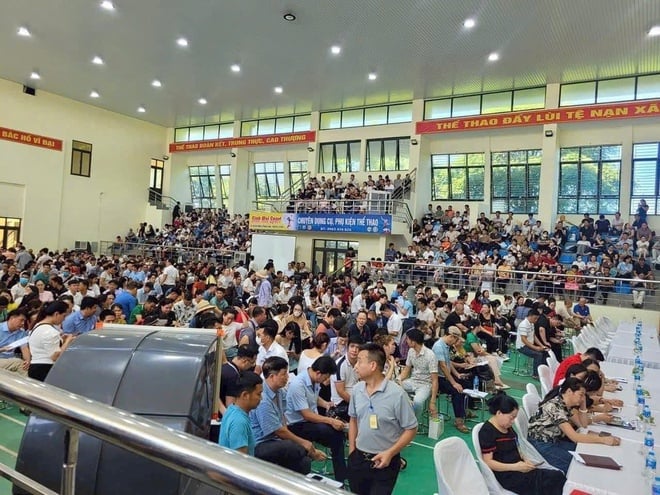 Huyện Thanh Oai bất ngờ dừng phiên đấu giá đất ngày 17/8 tới