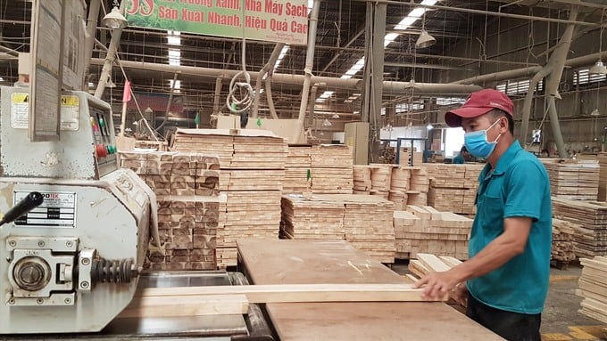 Xây dựng chính sách hỗ trợ tài khóa với doanh nghiệp ảnh hưởng bởi thuế quan của Mỹ